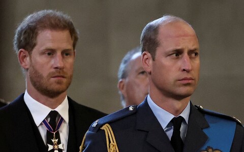 William and Harry watch on as the coffin of Queen Elizabeth II arrives at Westminster Hall for her lying in state