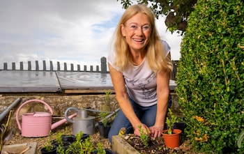 The garden is a place where you can make changes to save money and reap big benefits