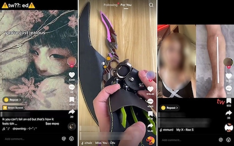 Screengrabs from TikTok show content praising eating disorders, knuckleduster weapons and self-harm